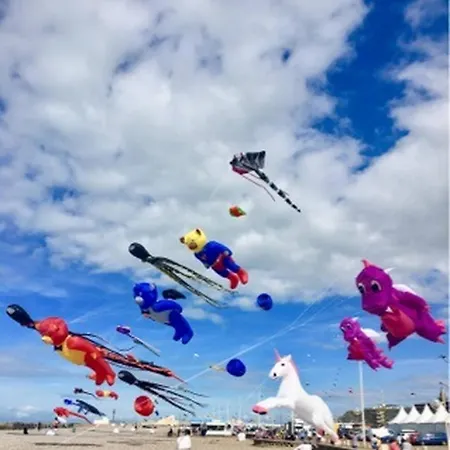 Les Cerfs Volants 2 A 4 Pers Апартаменты Дьепп